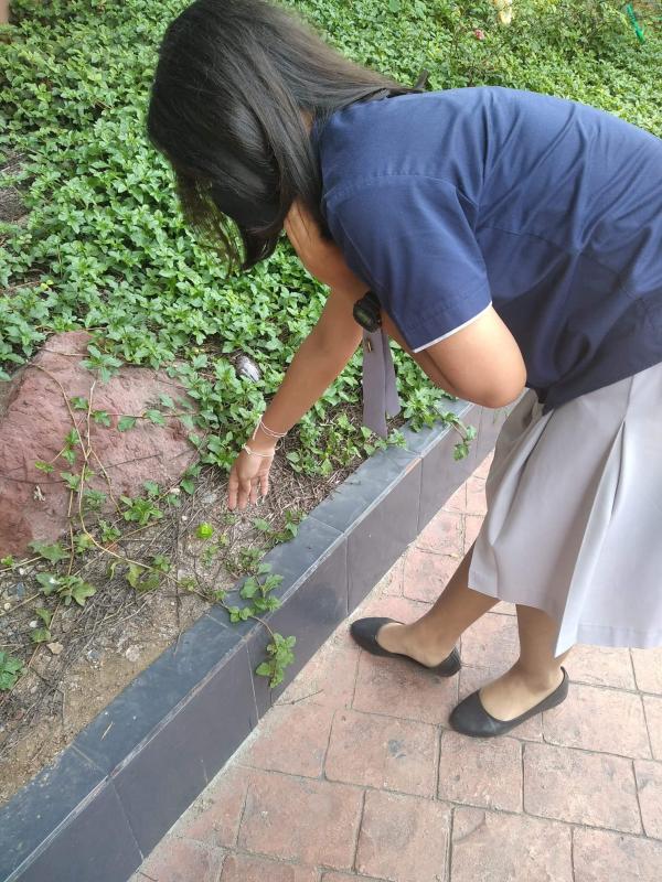 จิต​อาสา​