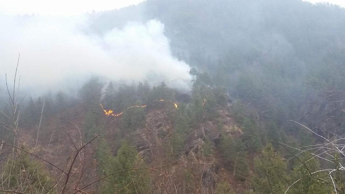 Paro forest fire