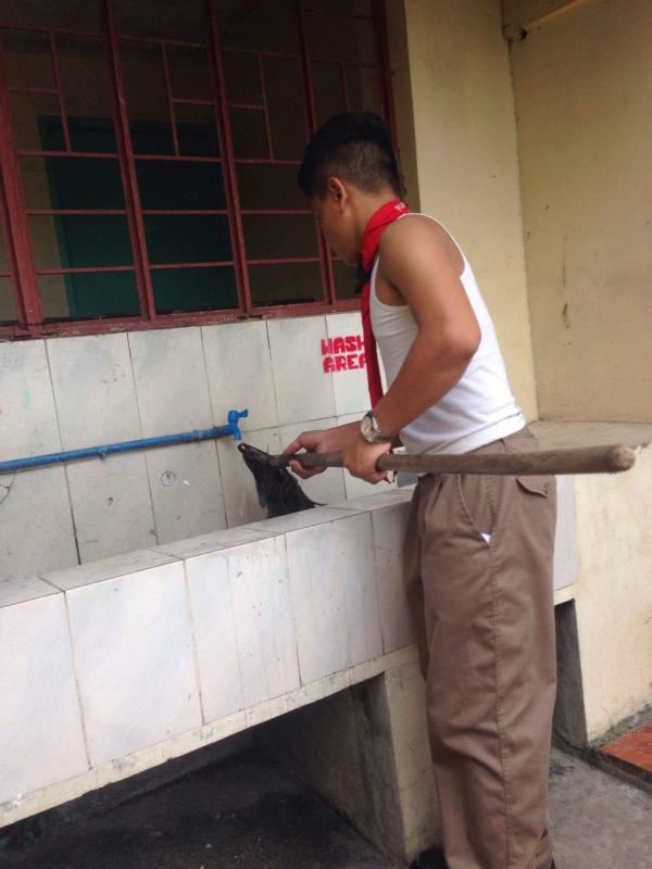 Brigada Skwela 2