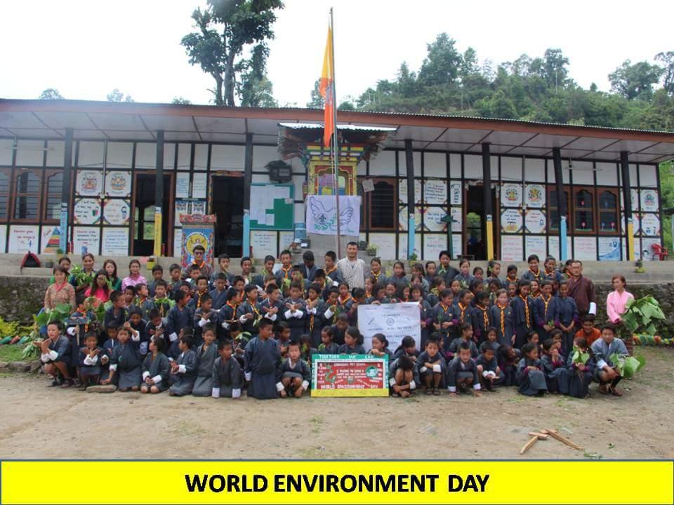 I PLEDGE TO PLANT A TREE