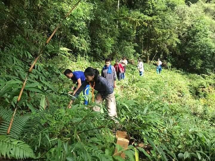 Cleaning campaign