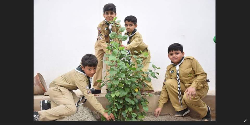 Plantation