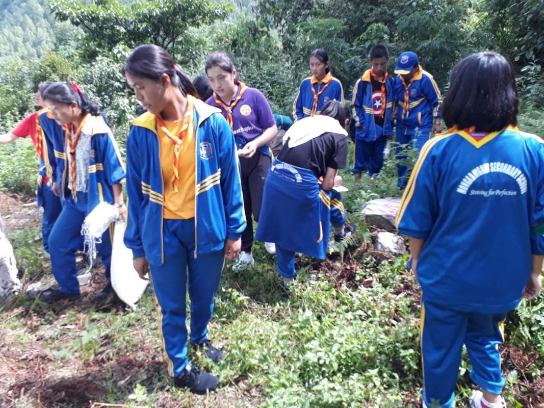 cleaning campaign