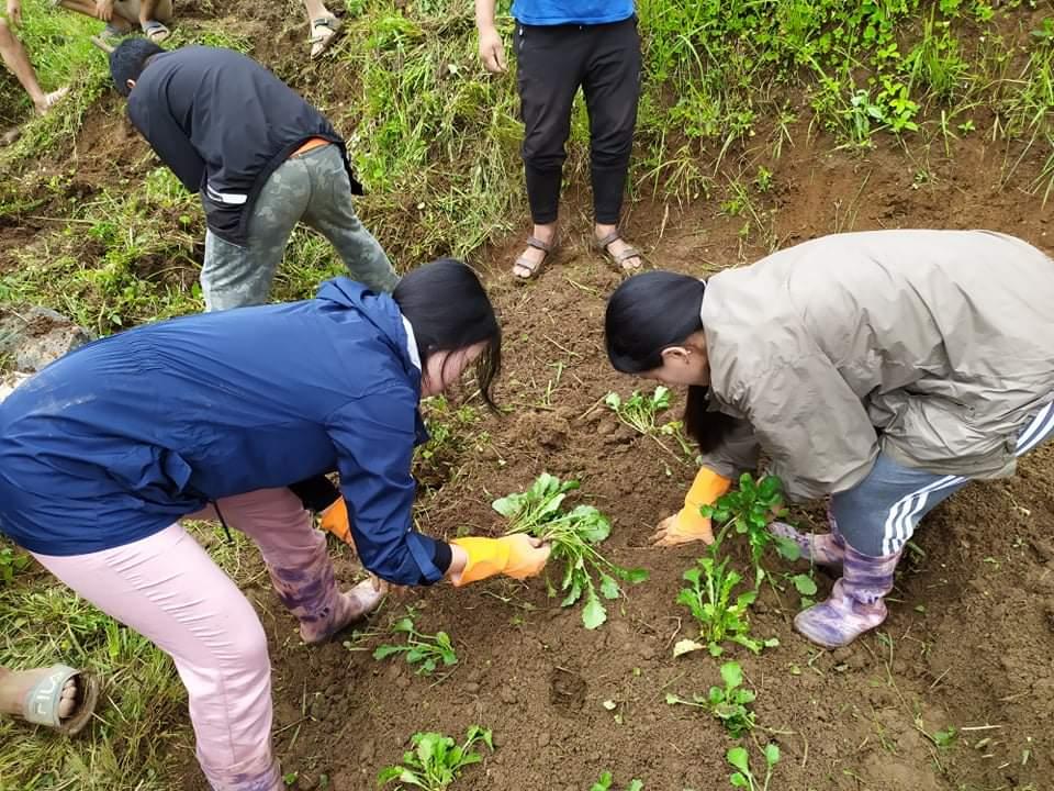 strong institution for better learning outcomes