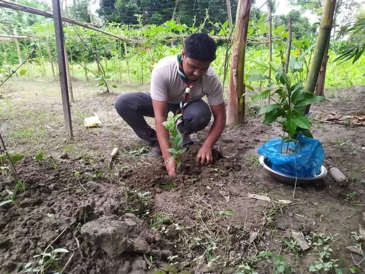 গাছ লাগাও পরিবেশ বাচাও