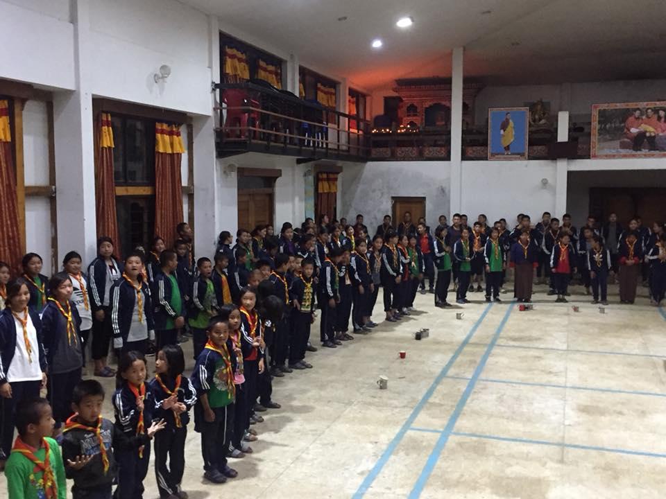 scouts red flower show as real flower show