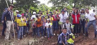 reforestacion
