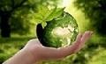 REFORESTACION, PLAYATON, PLOGGING Y EL AMOR AL MEDIO AMBIENTE