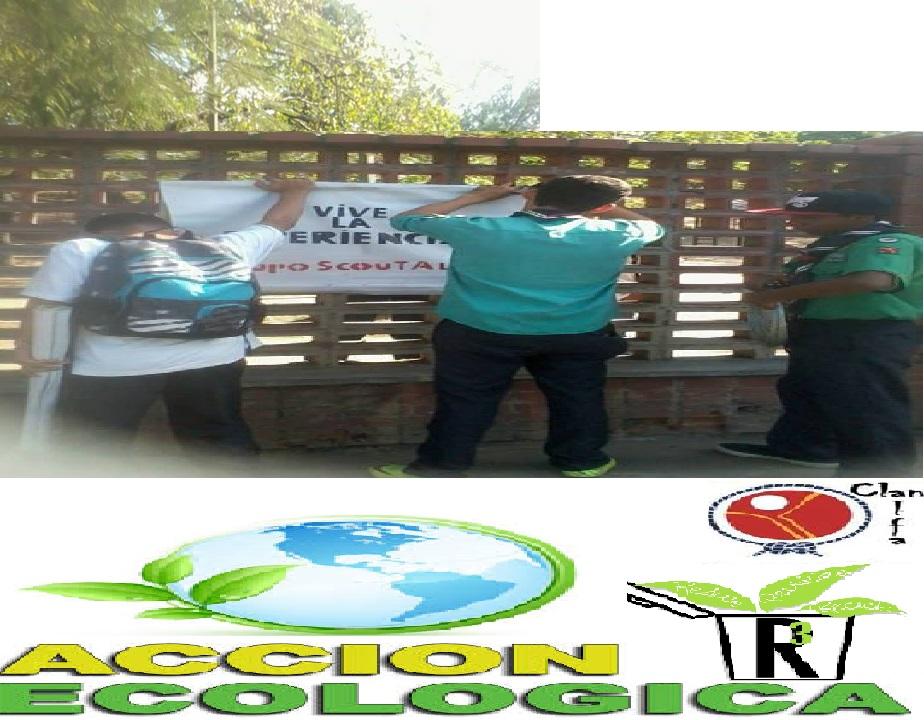 accion ecologica