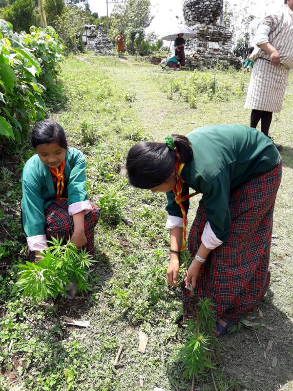 Awareness program on drugs