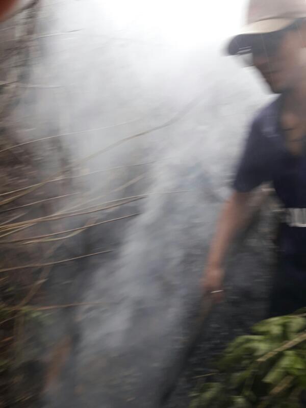 Environment and nature saving