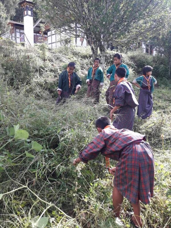 Environmental preservation