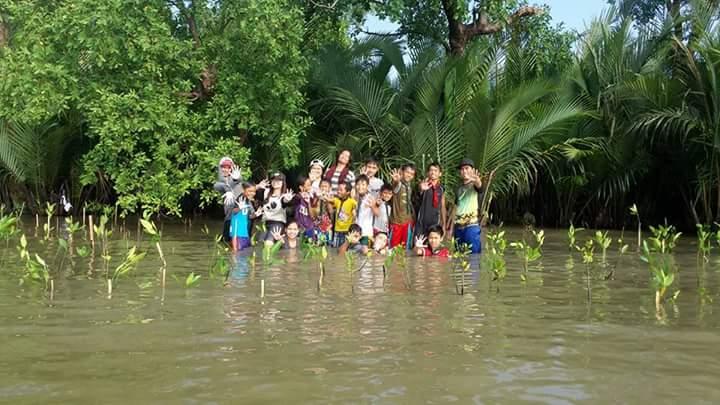 Mangrove planting