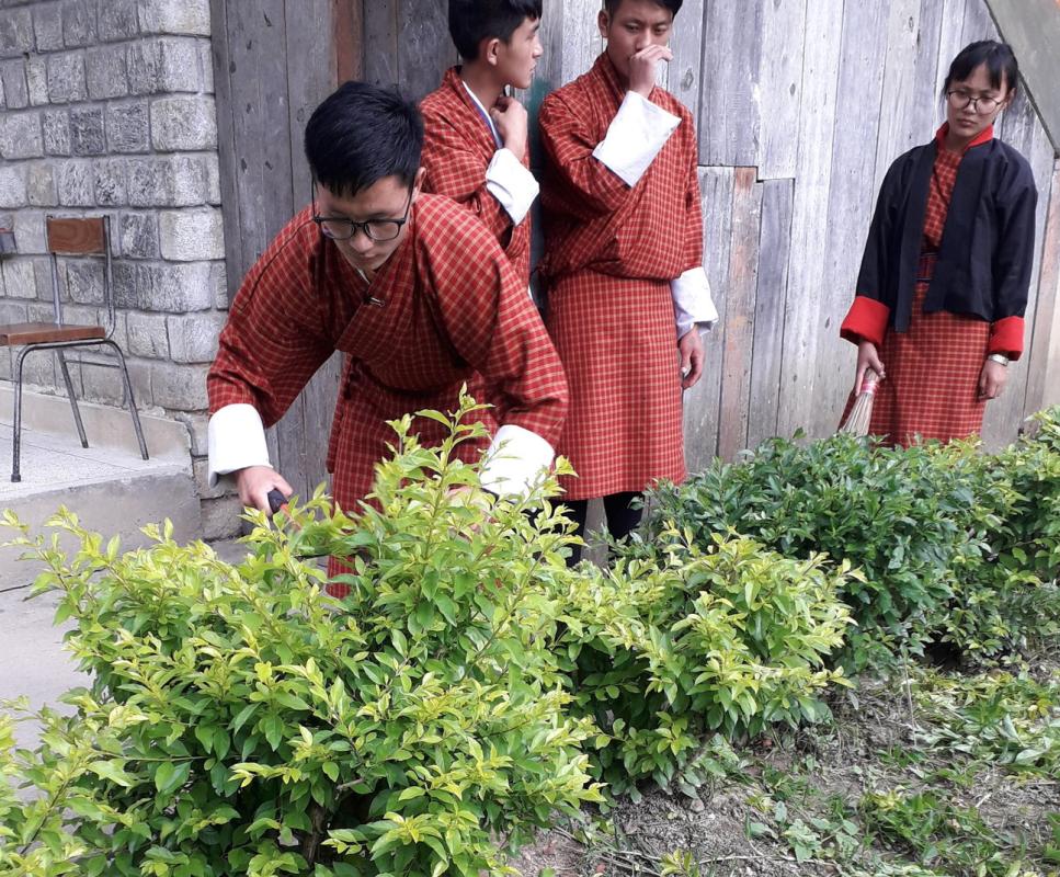 School beautification