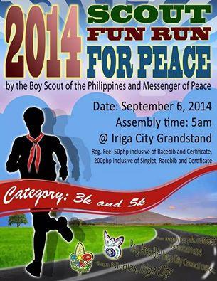 2014 Scouts Run for Peace