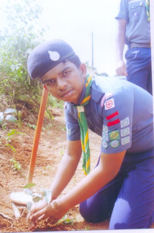Preservation of greenery