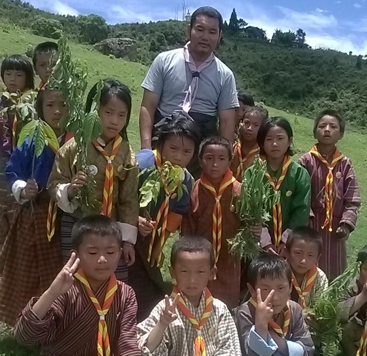 Plantation of fruit bearing trees
