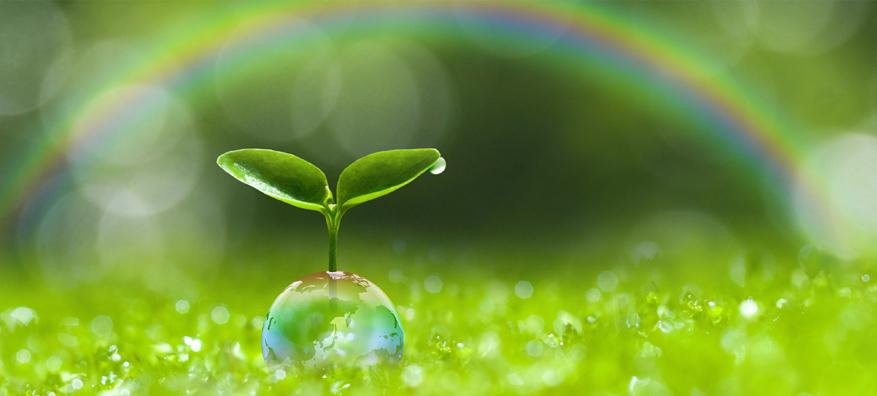 Take care our environment
