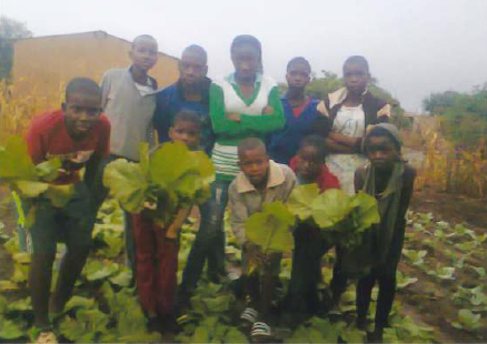 Food gardens for Sedan 