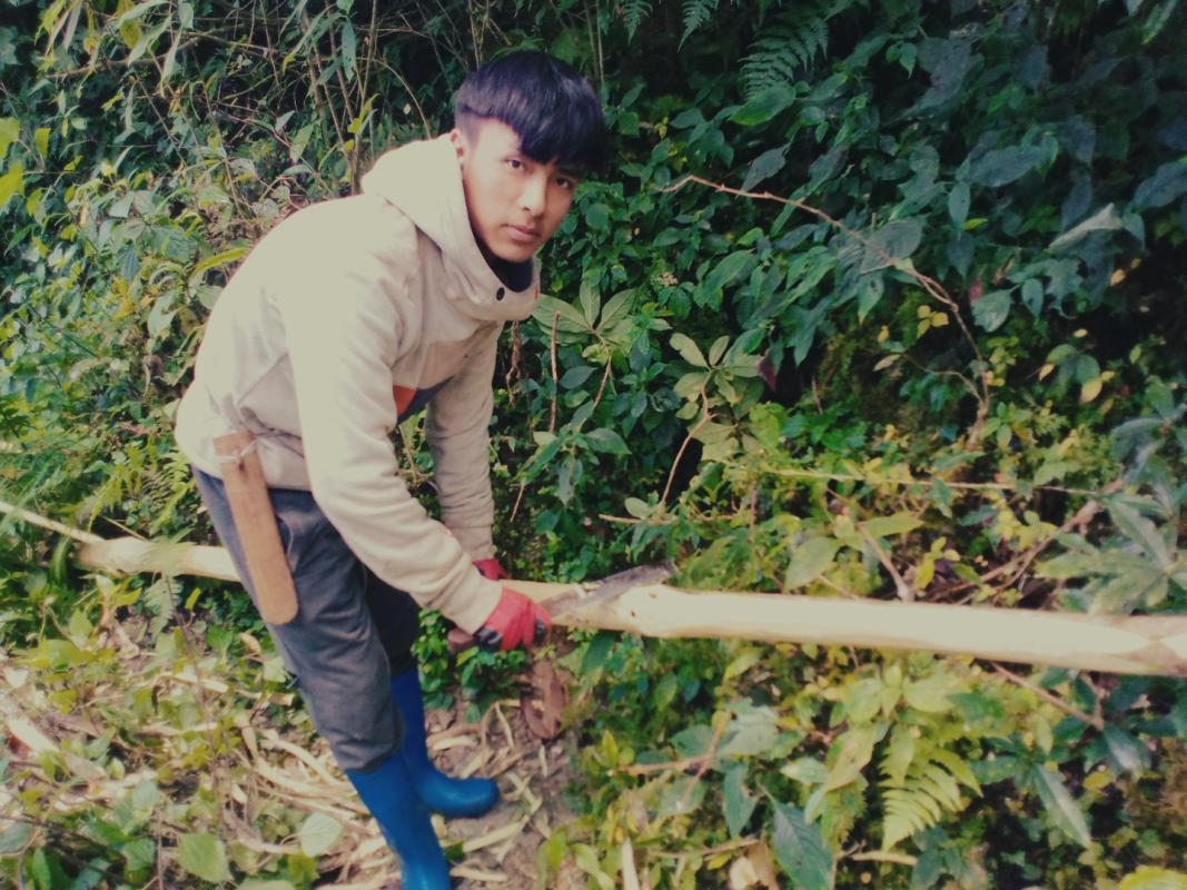 collection of prayer flag pole