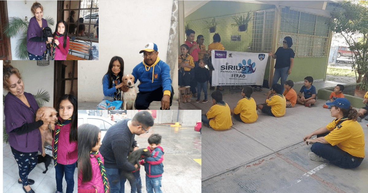 Sirius Patrulla Canina