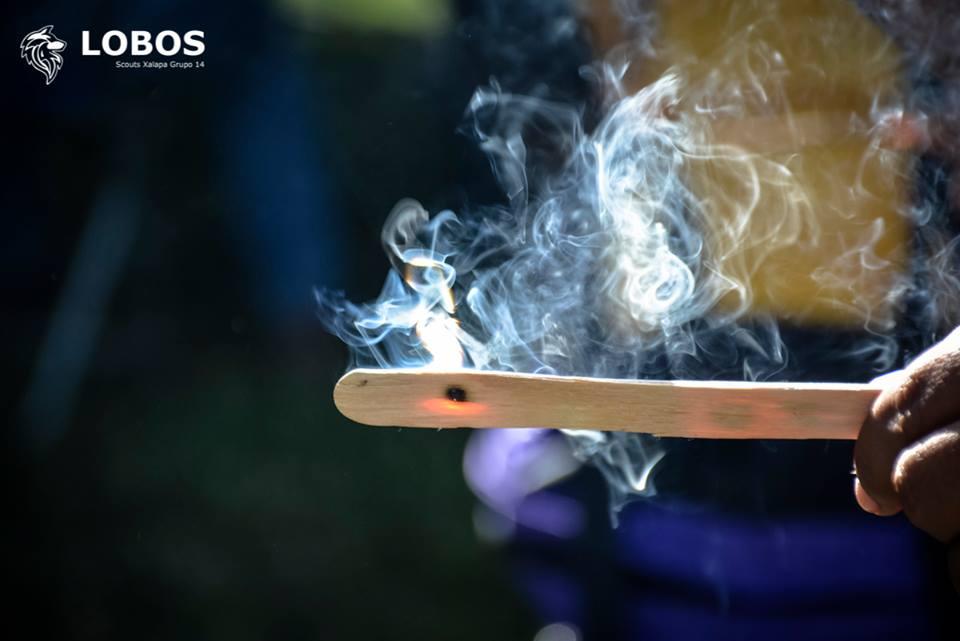 Scouts Go Solar
