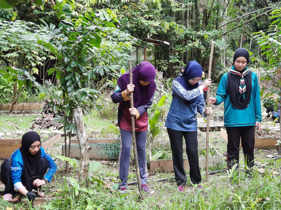 EKO Ponnies Garden Tutong