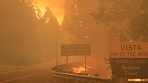 Stanislaus National Forest Rim Fire Recovery