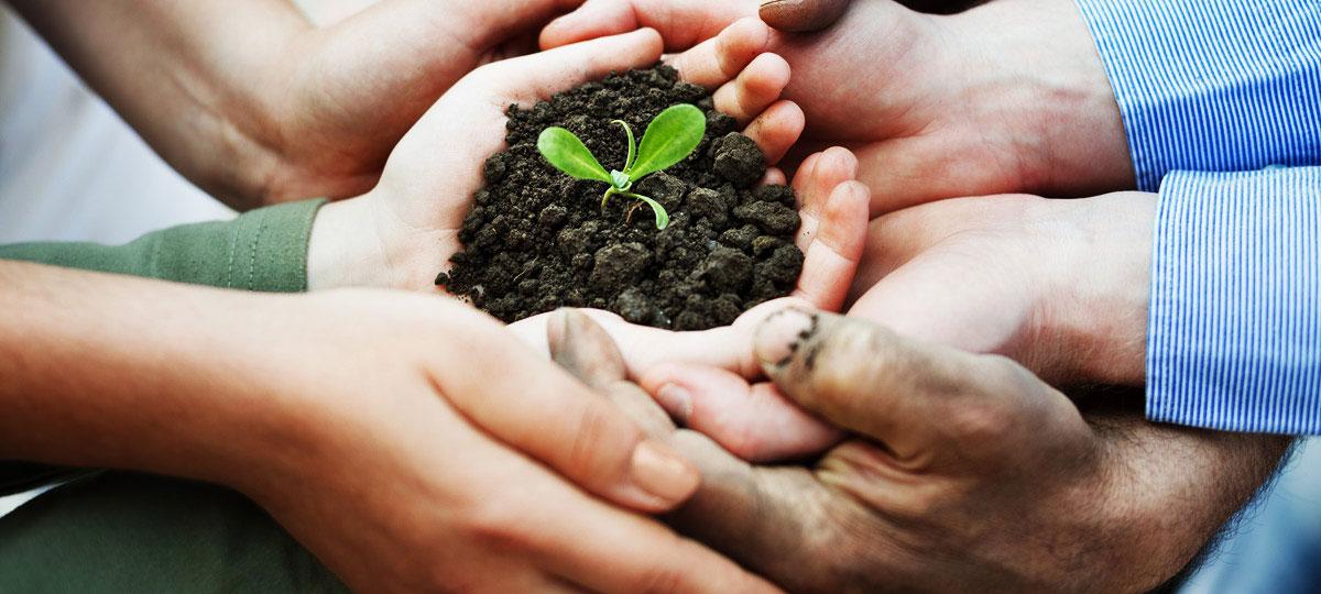 Six Months Community Development Project (Ensure Environmental Sustainability)