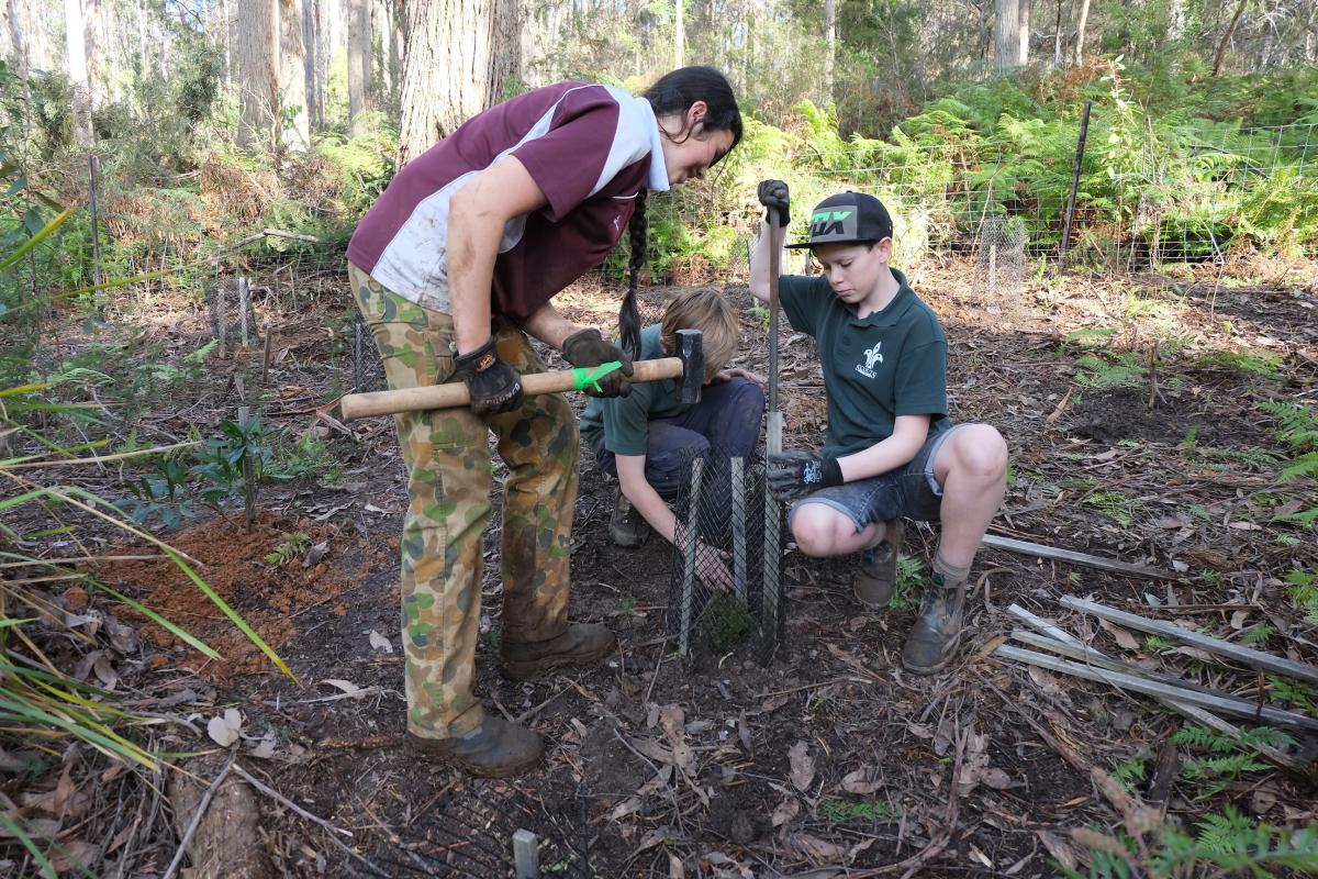 Leven District Environment Activities