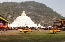 participate in dance 