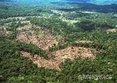 Salve a Floresta Amazonica