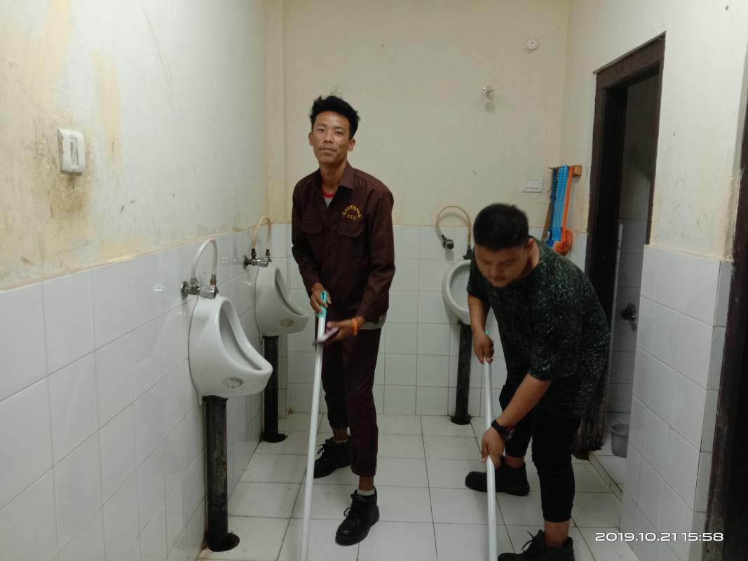 toilet cleaning