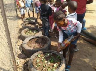 Creating a Food Garden in School