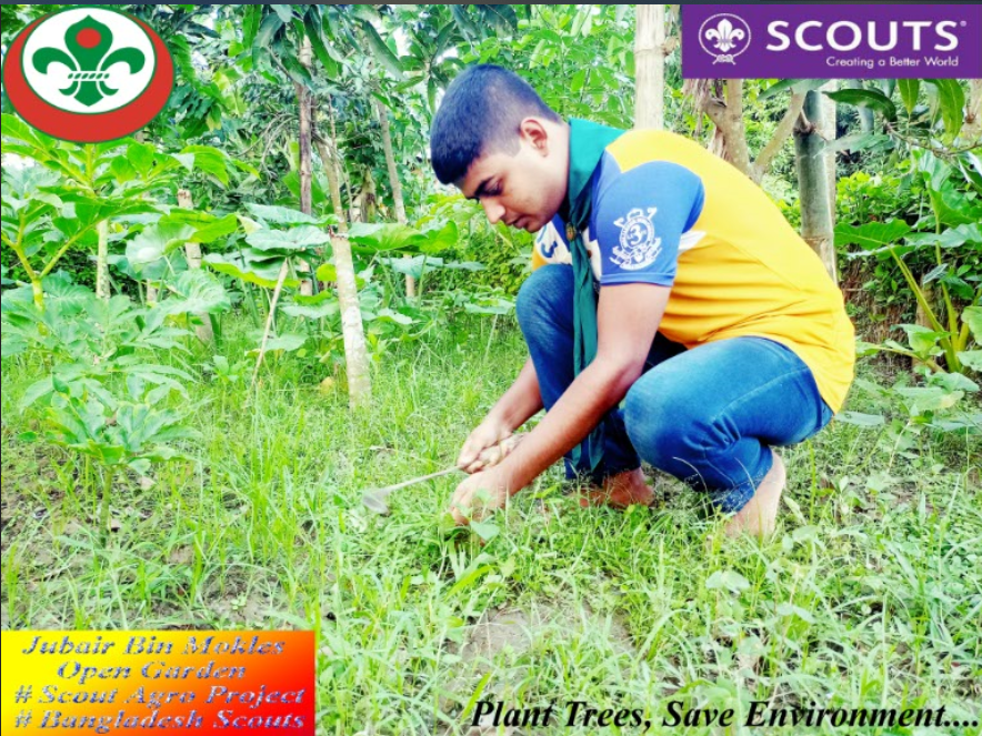 Tree Plantation-2021