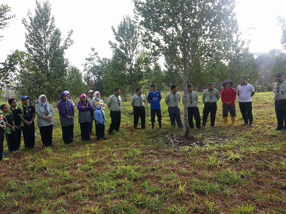 Tree Planting in Brunei