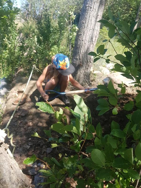 Tree Planting and Shoreline Clean Up