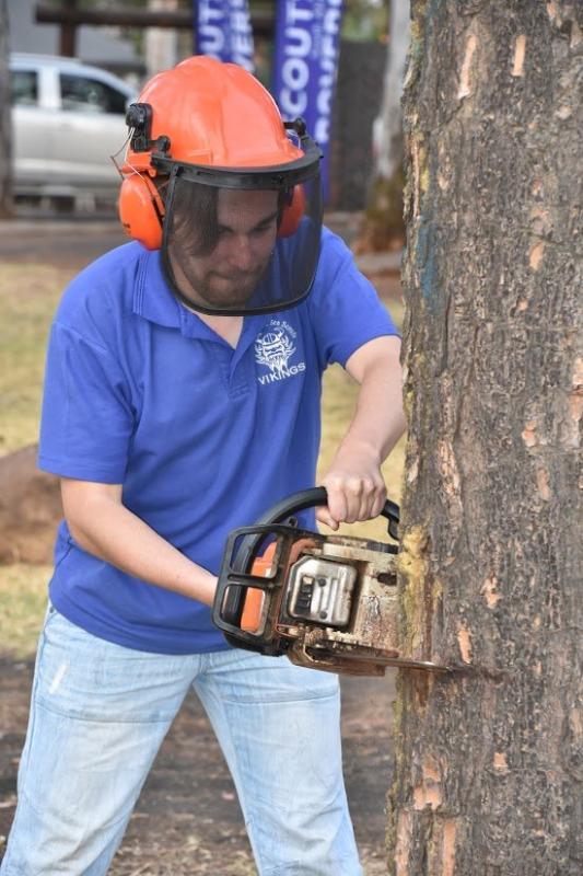 Exotic tree removal and replacement at Scout campsite