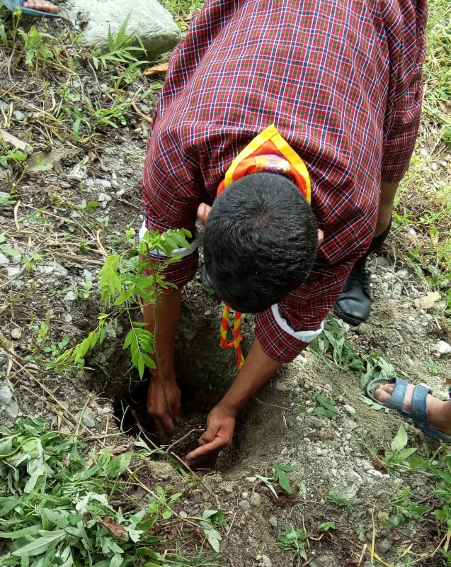 Social forestry day celebration