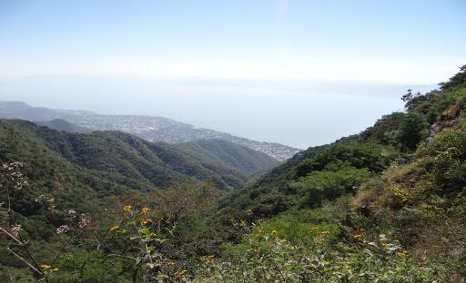 VIDA AL AIRE LIBRE