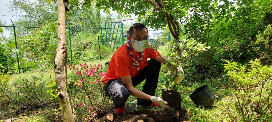 Plantation Drive in World Environment Day 2021