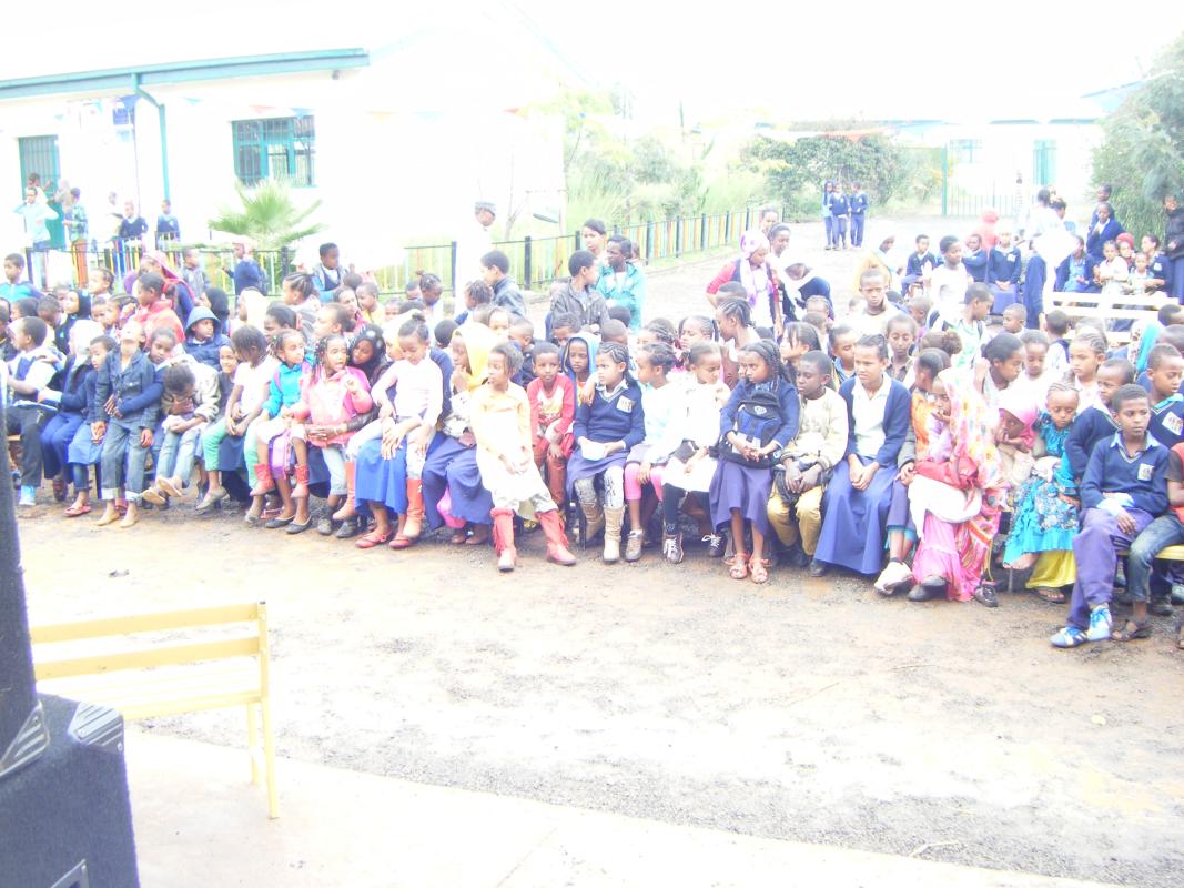 Scout Activties