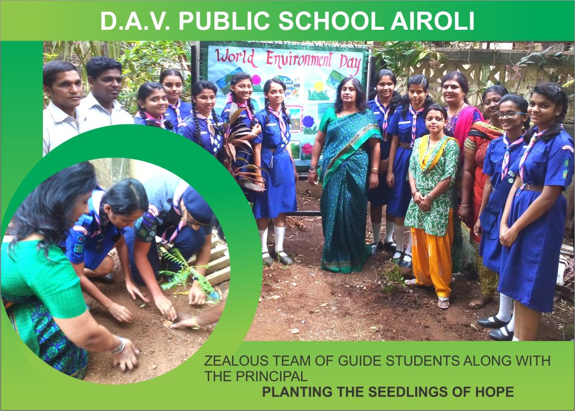 Tree Plantation