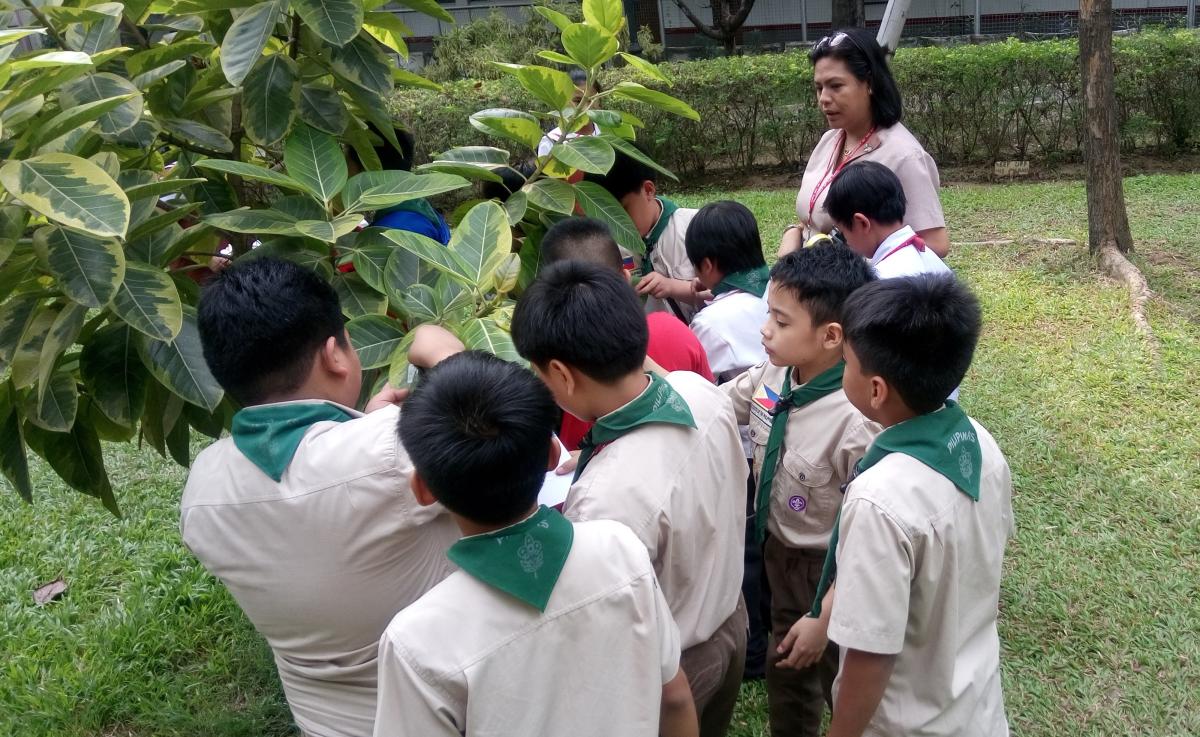 UE BSP World Scout Environment Program 1