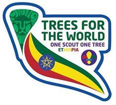 Tree planting