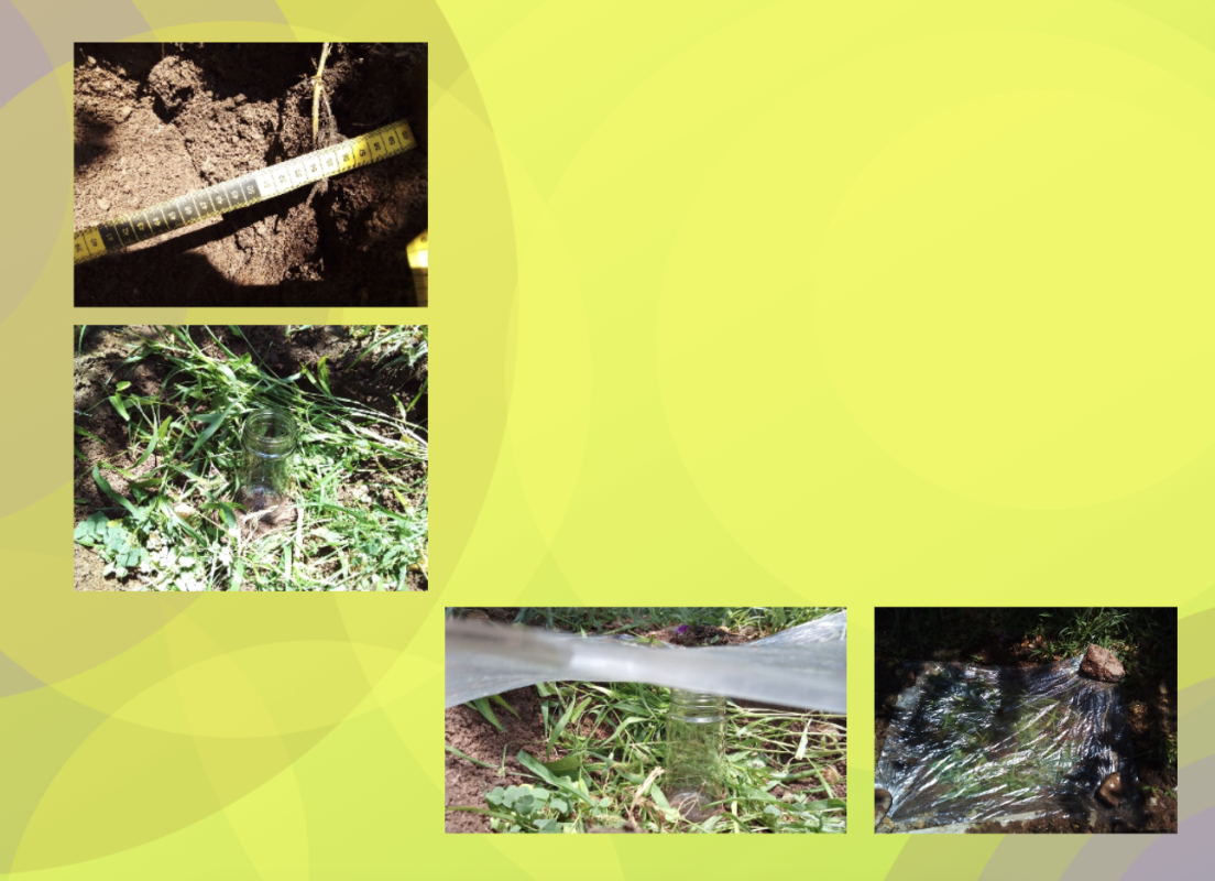 SGS water from vegetation