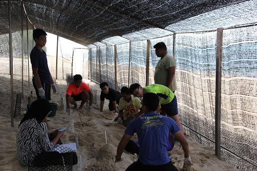 Project Orion where Scouts participate in turtle conservation in Singapore and Malaysia