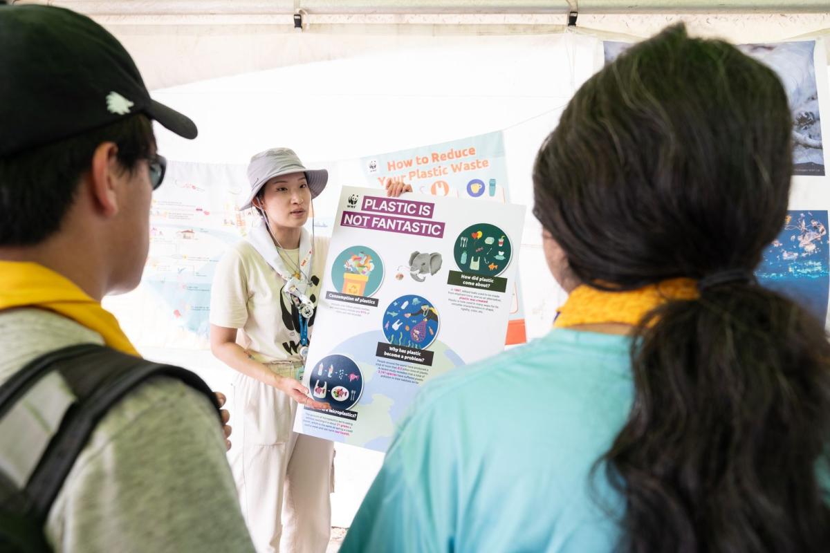 Plastic is not fantastic poster, presentation