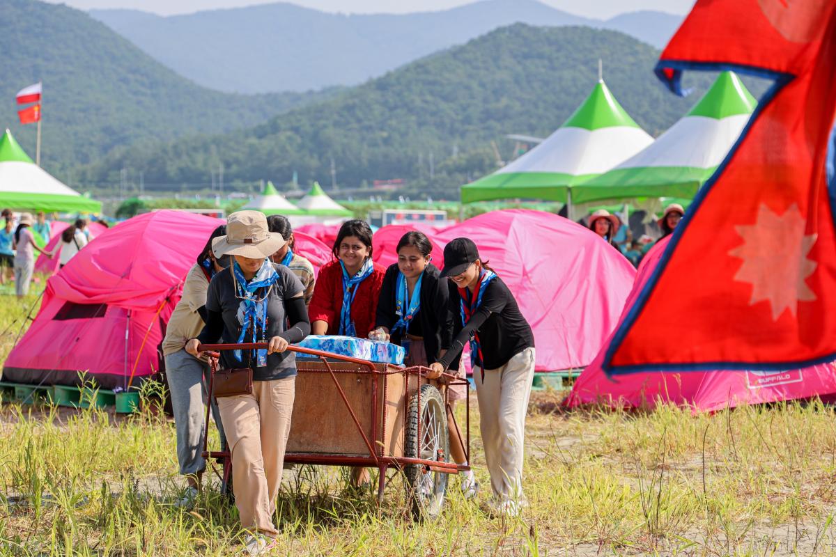Scouts working in groups 