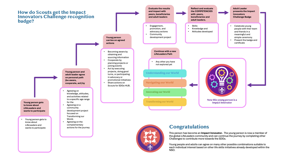 Impact Innovators badge process